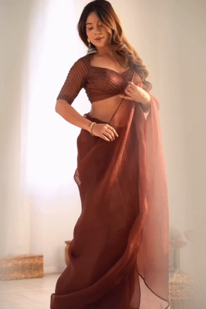 Rust Brown Sheer Saree with Embellished Blouse